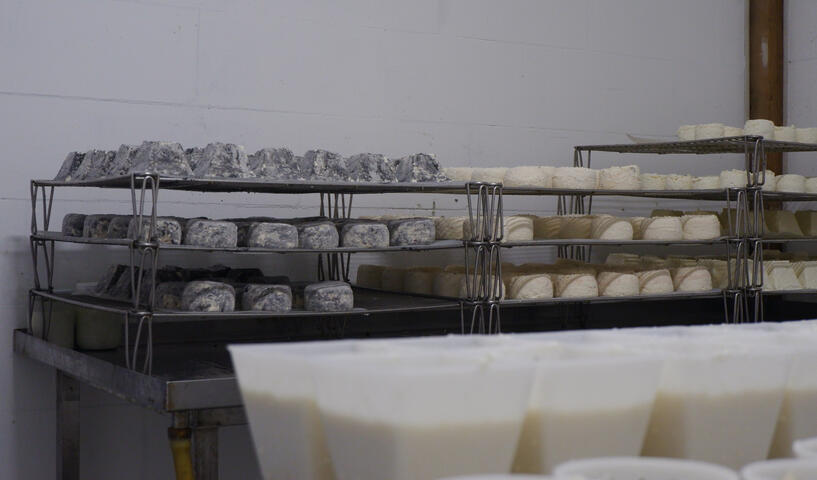 De kazen van Doetie rijpen in de kaasmakerij