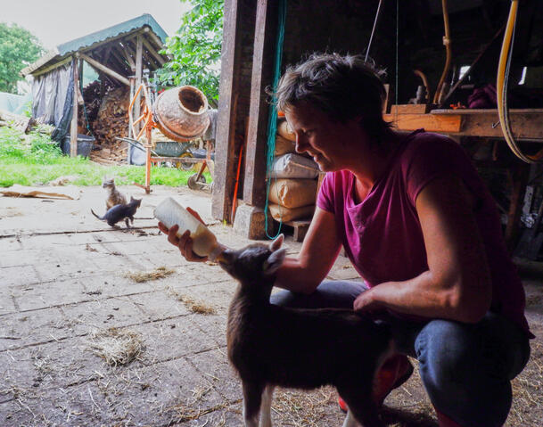 Doetie voert een klein geitje in haar paarse shirt in de stal. Het geitje drinkt uit een flesje
